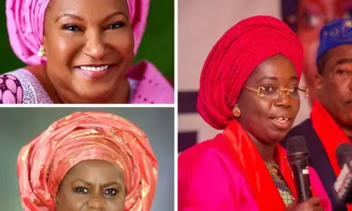 DG institute of democratic studies decries low female representation in governance