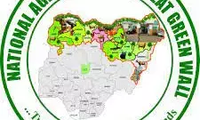 How NAGGW spent N81.2bn to plant 21m trees – Reps