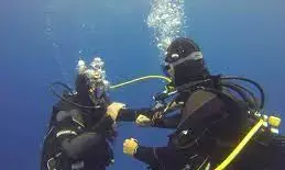 7 missing divers off Okinawa rescued without injury