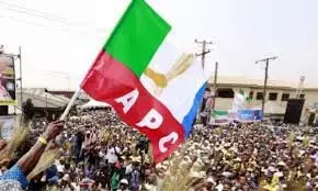 100 days: Tinubu has begun rewriting Nigeria’s story — APC Gambia