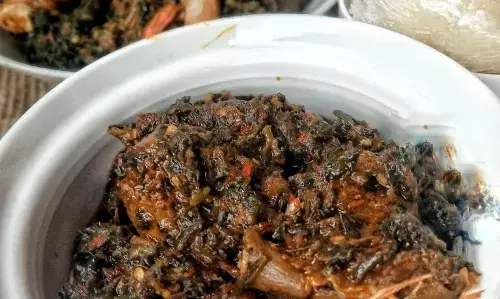 I love Nigerian cuisines, culture, says Chinese chieftaincy title holder in Nigeria