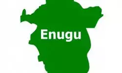 Enugu state builds 15 aggregation centres to boost rice, cashew production