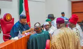 Senate investigates alleged killing, incarceration of 250 Nigerians