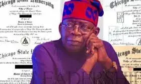 Certificate: Allow Tinubu to breathe, Igbo leader tells opposition