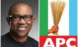 APC replies Peter Obi, says Tinubu needs no reintroduction