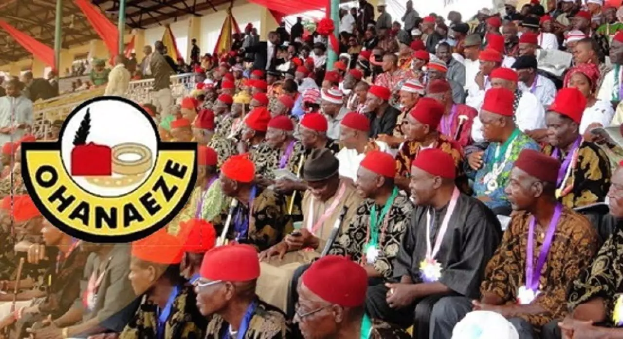 Ohaneze Ndigbo laments ethnic profiling against Igbo people