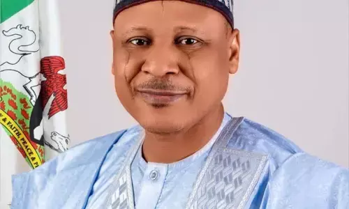 What Tinubu mandated me to do – Idris