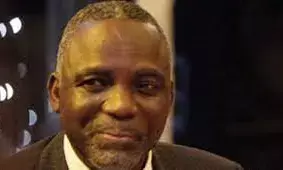 Diesel suppliers, generator dealers sabotaging power supply – Ex-minister, Nnaji Diesel suppliers, generator dealers sabotaging power supply – Ex-minister, Nnaji