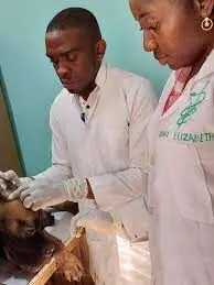 Stakeholders underscore importance of agriculture extension officers, veterinary services for food security