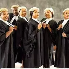 Sexual harassment, patriarchy reducing number of female litigators in Nigeria – Lawyers