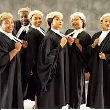 Sexual harassment, patriarchy reducing number of female litigators in Nigeria – Lawyers Sexual harassment, patriarchy reducing number of female litigators in Nigeria – Lawyers