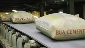 BUA to inaugurate new cement plant in Sokoto by Jan. 2024