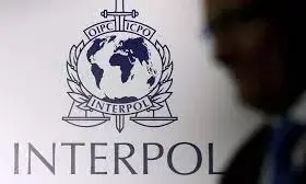FG seeks INTERPOL support to combat  terrorism