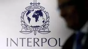 FG seeks INTERPOL support to combat  terrorism