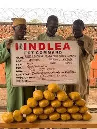 NDLEA arrests 3 blind men of drug syndicate