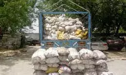 Customs intercepts donkey skins, vehicles worth N1.24bn in October