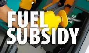 Rep denies calling for fuel subsidy probe