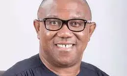 Voluntary agencies critical to societal dev’t, Obi tells college old boys