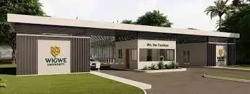 Wigwe University to officially begin operations in 2024 Wigwe University to officially begin operations in 2024