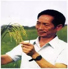Dream of father of hybrid rice takes root in Africa