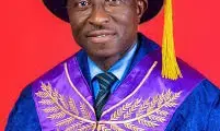 OAU VC suggests how to promote food security scientically OAU VC suggests how to promote food security scientically