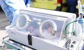 28 premature babies transferred to Egypt from Gaza