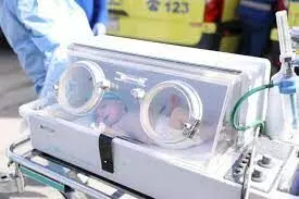 28 premature babies transferred to Egypt from Gaza
