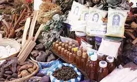 Group urges NASS to pass Traditional Medicine Bill