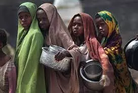 Food Insecurity: 26.5m Nigerians may face crisis in 2024