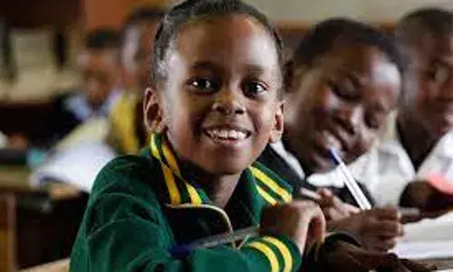 Nigeria has 45m children in basic education – UBEC