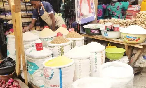 Food inflation: Dry season farming to the rescue?