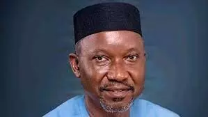 Construction of Nigeria-Morocco gas project begins in 2024 – Minister