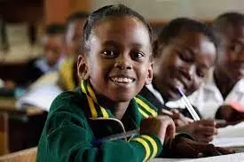 Nigeria has 45m children in basic education – UBEC