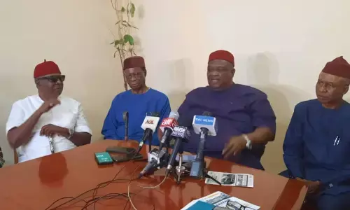 Ohaneze Ndigbo urges Nigerians to support Igbos against wrong profiling, threat to livelihood