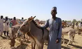Association lauds Aliyu for demolishing illegal structures in Sokoto