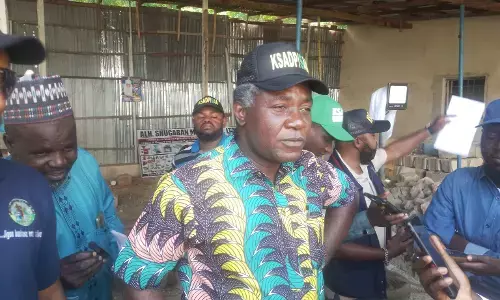 Agric intervention in Kano yielding results — Sasakawa Africa