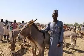 Association lauds Aliyu for demolishing illegal structures in Sokoto