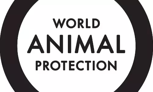 Emissions from factory farms worsening climate crisis, say African campaigners