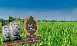 Equatorial Guinea partners Tiamin Rice coy on food security Equatorial Guinea partners Tiamin Rice coy on food security