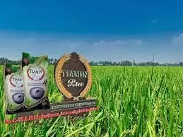 Equatorial Guinea partners Tiamin Rice coy on food security