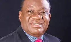 Political class alone cannot solve Nigerian problem  – former minister Nebo