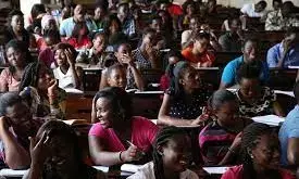 Diaspora-based experts set to invest in 1m unskilled Africans