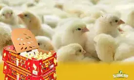 Govt. policies affected growth of poultry business in 2023 – SUNCHI Farms