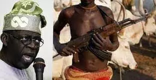 Tinubu condemns heinous attack in Plateau