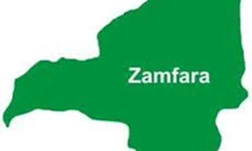 Rector laments brain drain in Zamfara Polytechnic