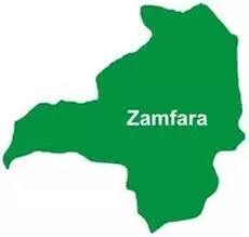 Rector laments brain drain in Zamfara Polytechnic