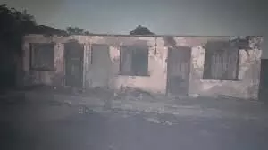 National Theatre Fire outbreak: 4 cows, 3 goats burnt at NCAC office Lagos