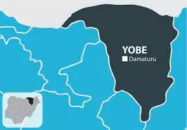 Group demand justice for  murdered civil servant in Yobe