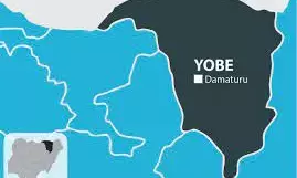 Group demand justice for  murdered civil servant in Yobe