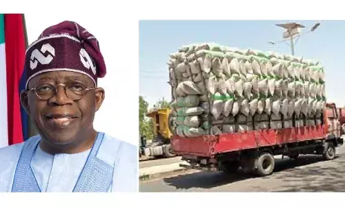 Yobe south, north constituents confirm receipt of Tinubu’s Christmas rice